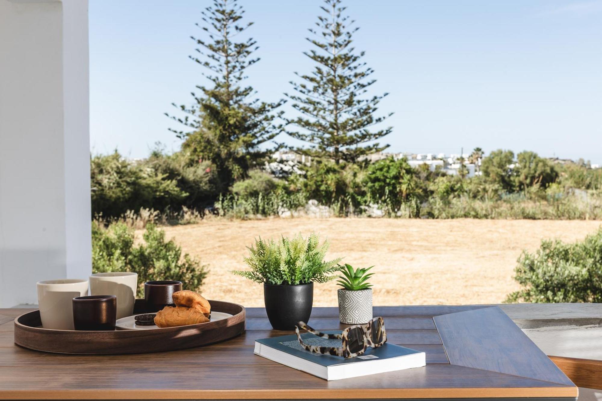 Asterias Studios Agia Anna  Exterior photo